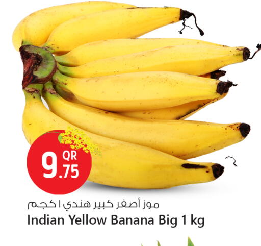 Banana from India available at سفاري هايبر ماركت in قطر - الشمال