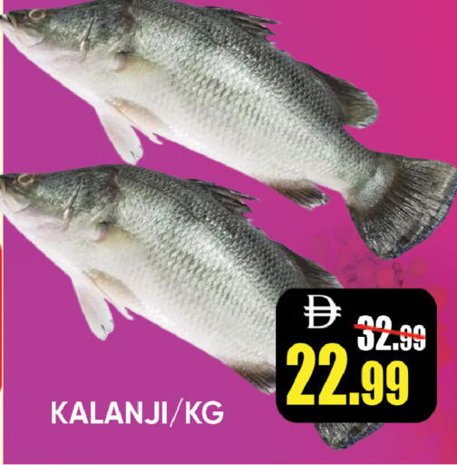 available at ليبتس هايبرماركت in الإمارات العربية المتحدة , الامارات - ٱلْعَيْن‎