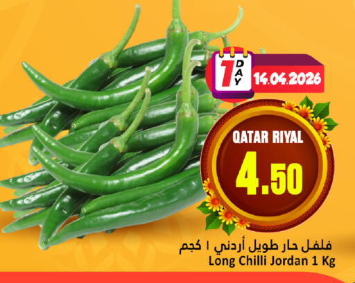 Chilli from Qatar Jordan available at دانة هايبرماركت in قطر - الشمال