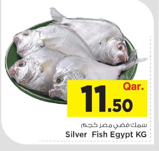 available at مارك & سيف in قطر - الوكرة