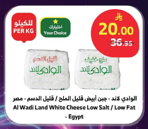 available at Al Raya in KSA, Saudi Arabia, Saudi - Jeddah