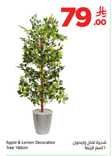 Apple Lemon available at وهج مارت in مملكة العربية السعودية, السعودية, سعودية - جدة