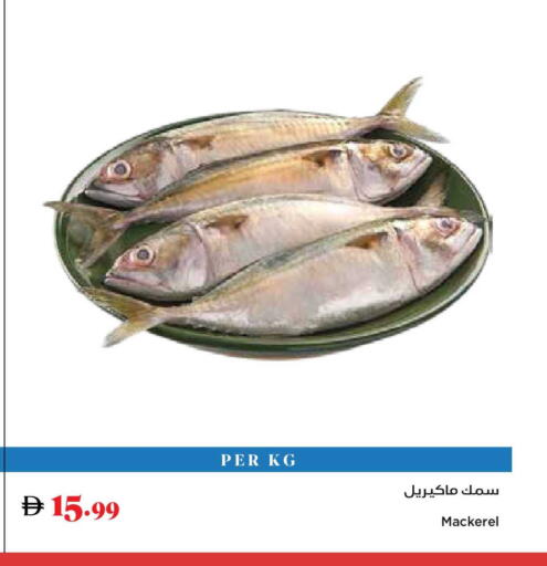 available at تروليز سوبرماركت in الإمارات العربية المتحدة , الامارات - الشارقة / عجمان