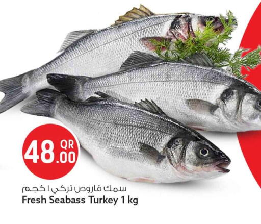 available at سفاري هايبر ماركت in قطر - الريان