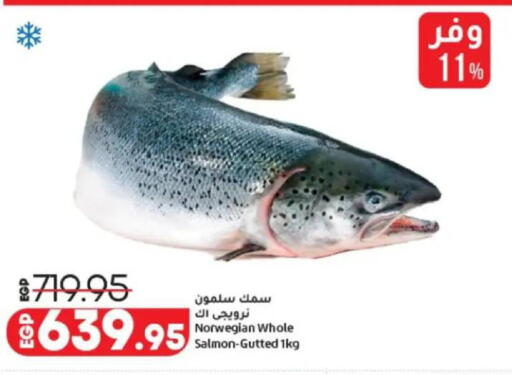 available at Lulu Hypermarket  in Egypt - Cairo