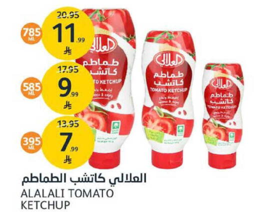 Tomato available at AlJazera Shopping Center in KSA, Saudi Arabia, Saudi - Riyadh