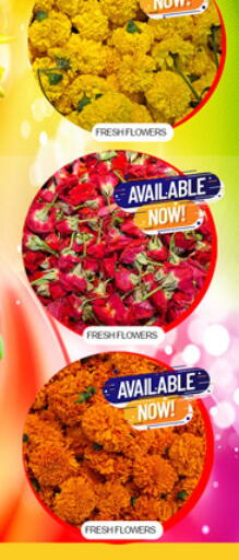 available at لكي سنتر in الإمارات العربية المتحدة , الامارات - الشارقة / عجمان