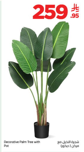 available at وهج مارت in مملكة العربية السعودية, السعودية, سعودية - جدة