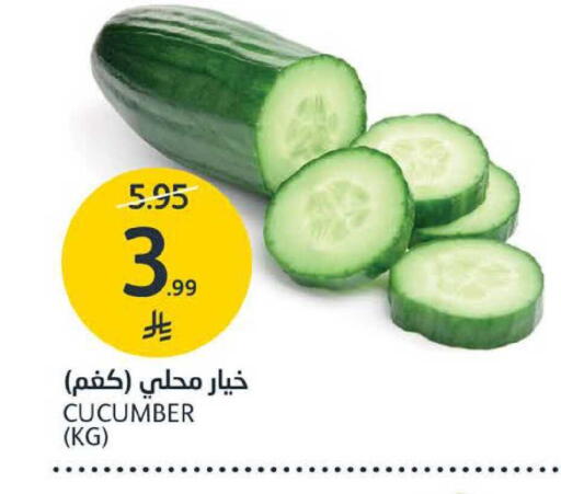 Cucumber available at مركز الجزيرة للتسوق in مملكة العربية السعودية, السعودية, سعودية - الرياض