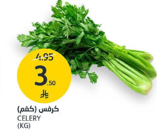 Celery available at مركز الجزيرة للتسوق in مملكة العربية السعودية, السعودية, سعودية - الرياض