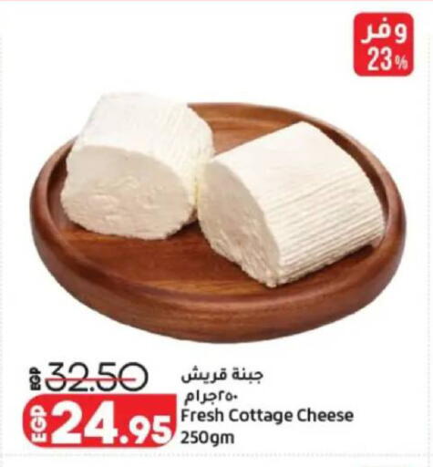 available at Lulu Hypermarket  in Egypt - Cairo