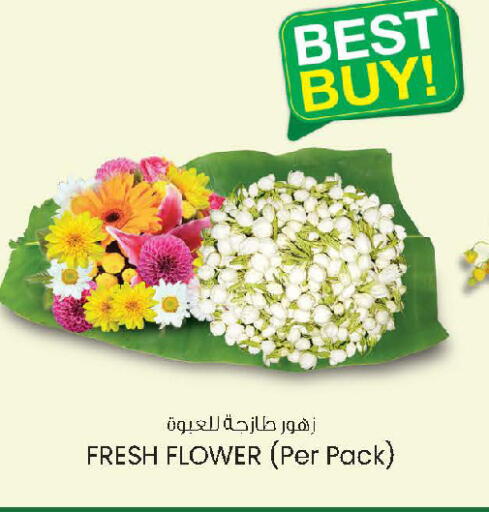 available at الصفا in الإمارات العربية المتحدة , الامارات - أبو ظبي