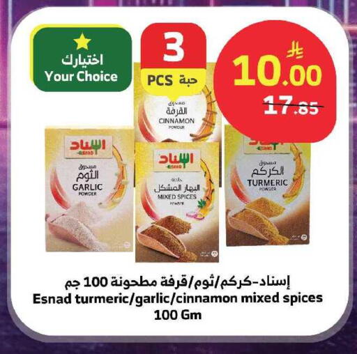 Garlic Cinnamon Turmeric available at Al Raya in KSA, Saudi Arabia, Saudi - Jeddah