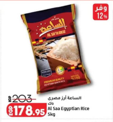 available at Lulu Hypermarket  in Egypt - Cairo