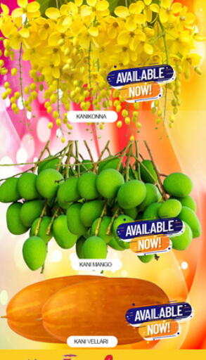 Mango available at لكي سنتر in الإمارات العربية المتحدة , الامارات - الشارقة / عجمان