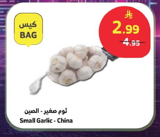 Garlic from China available at Al Raya in KSA, Saudi Arabia, Saudi - Ta'if