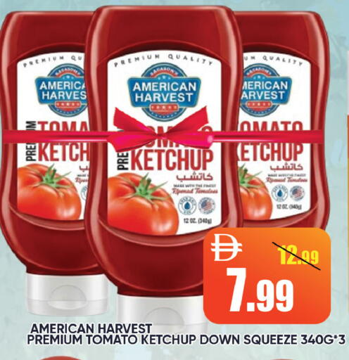 Tomato available at Leptis Hypermarket  in UAE - Ras al Khaimah