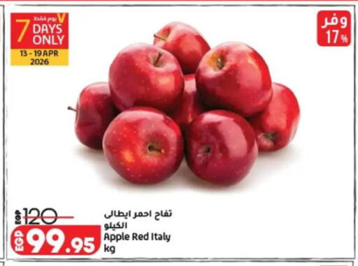 Apple from Italy available at Lulu Hypermarket  in Egypt - Cairo