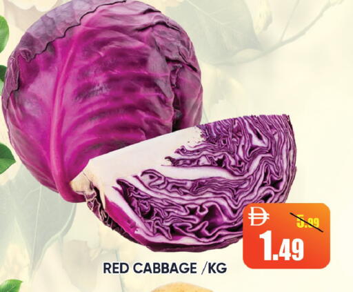 Cabbage available at Leptis Hypermarket  in UAE - Ras al Khaimah