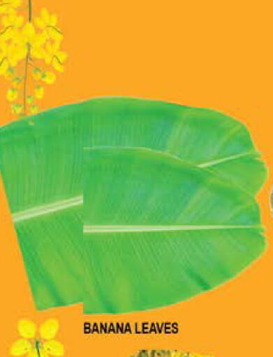 Banana available at هاشم هايبرماركت in الإمارات العربية المتحدة , الامارات - الشارقة / عجمان