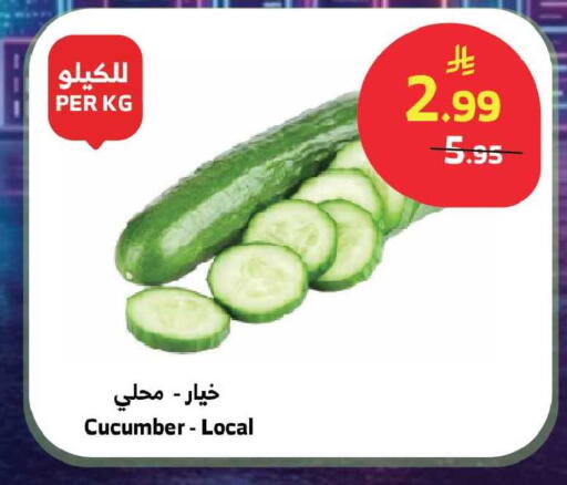 Cucumber available at الراية in مملكة العربية السعودية, السعودية, سعودية - جدة