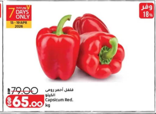 Capsicum available at Lulu Hypermarket  in Egypt - Cairo