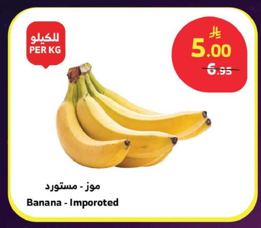 Banana available at الراية in مملكة العربية السعودية, السعودية, سعودية - جدة