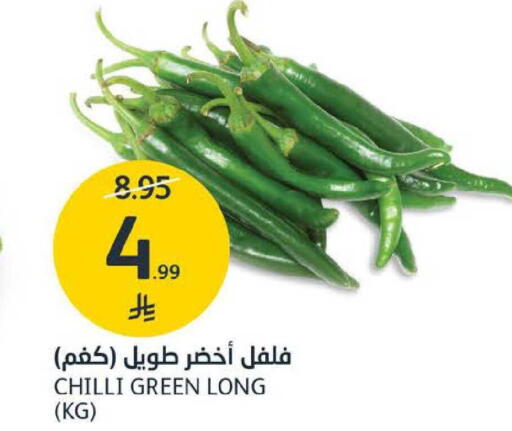 Chilli available at مركز الجزيرة للتسوق in مملكة العربية السعودية, السعودية, سعودية - الرياض