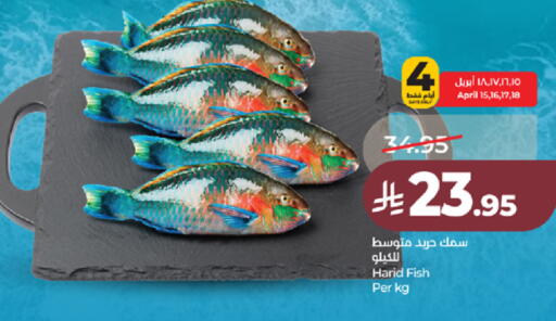 available at لولو هايبرماركت in مملكة العربية السعودية, السعودية, سعودية - جدة