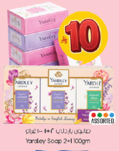 available at City Flower in KSA, Saudi Arabia, Saudi - Hail