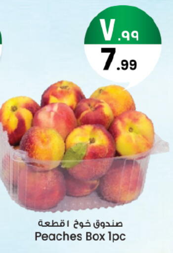 available at City Flower in KSA, Saudi Arabia, Saudi - Hail