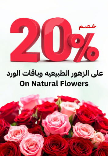 available at أسواق أسترا in مملكة العربية السعودية, السعودية, سعودية - تبوك