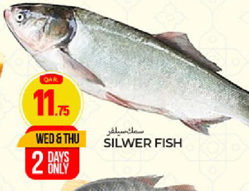 available at Paris Hypermarket in Qatar - Al Rayyan