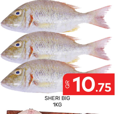 available at Majlis Hypermarket in Qatar - Doha