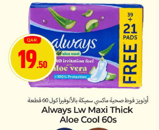 available at Paris Hypermarket in Qatar - Al Rayyan