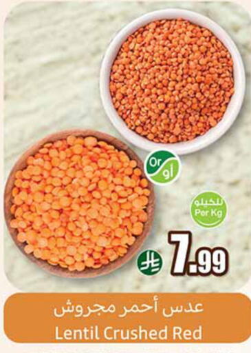 available at أسواق عبد الله العثيم in مملكة العربية السعودية, السعودية, سعودية - الخبر‎