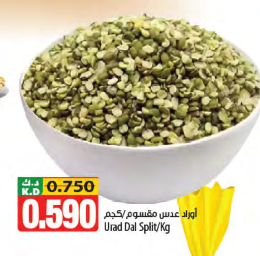 Mango available at Mango Hypermarket  in Kuwait - Kuwait City