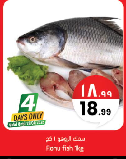 available at City Flower in KSA, Saudi Arabia, Saudi - Hail