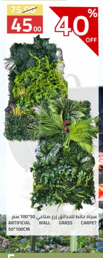 available at أسواق أسترا in مملكة العربية السعودية, السعودية, سعودية - تبوك