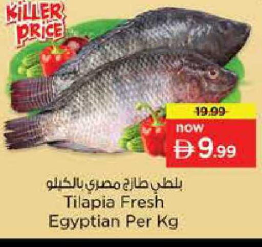 available at Nesto Hypermarket in UAE - Abu Dhabi