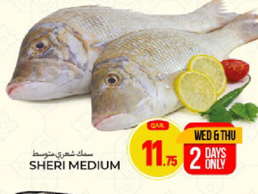 available at Paris Hypermarket in Qatar - Al Rayyan