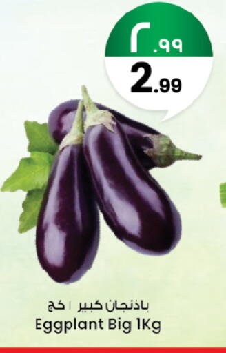 Eggplant available at ستي فلاور in مملكة العربية السعودية, السعودية, سعودية - الرياض