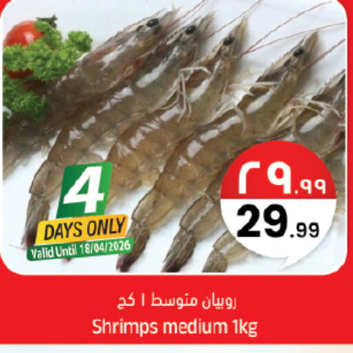 available at City Flower in KSA, Saudi Arabia, Saudi - Sakaka