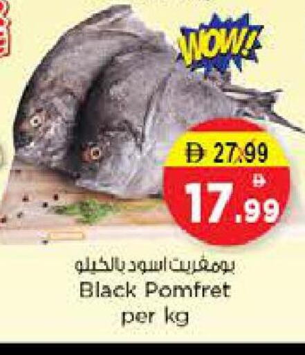 available at نستو هايبرماركت in الإمارات العربية المتحدة , الامارات - الشارقة / عجمان