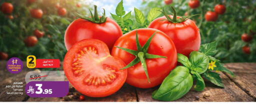 Tomato from Saudi Arabia available at LULU Hypermarket in KSA, Saudi Arabia, Saudi - Al-Kharj