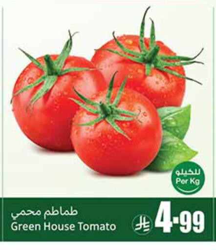 Tomato available at أسواق عبد الله العثيم in مملكة العربية السعودية, السعودية, سعودية - جدة