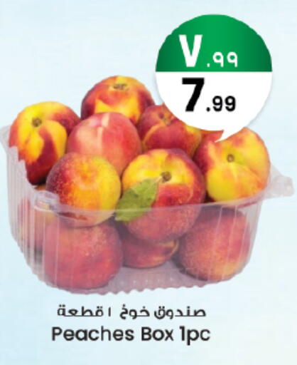 available at City Flower in KSA, Saudi Arabia, Saudi - Sakaka