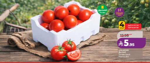 Date Tomato from Saudi Arabia available at لولو هايبرماركت in مملكة العربية السعودية, السعودية, سعودية - جدة