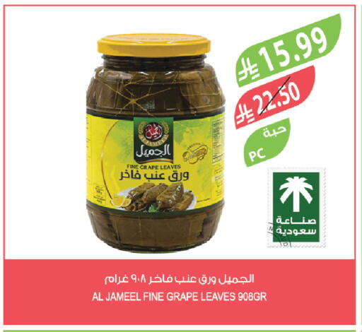 available at المزرعة in مملكة العربية السعودية, السعودية, سعودية - القطيف‎