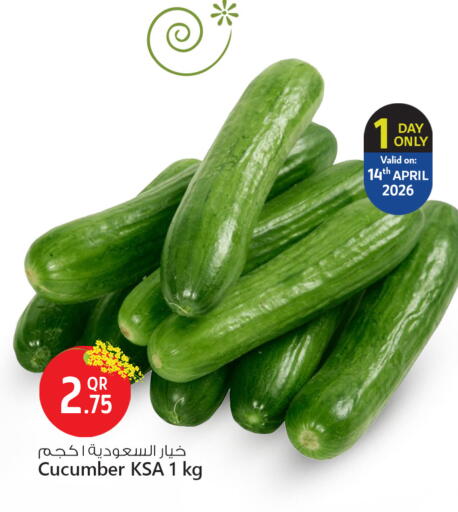 Cucumber available at سفاري هايبر ماركت in قطر - الدوحة